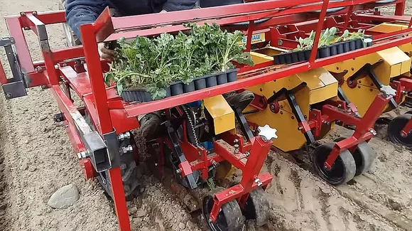 МРП-4 машина рассадопосадочная