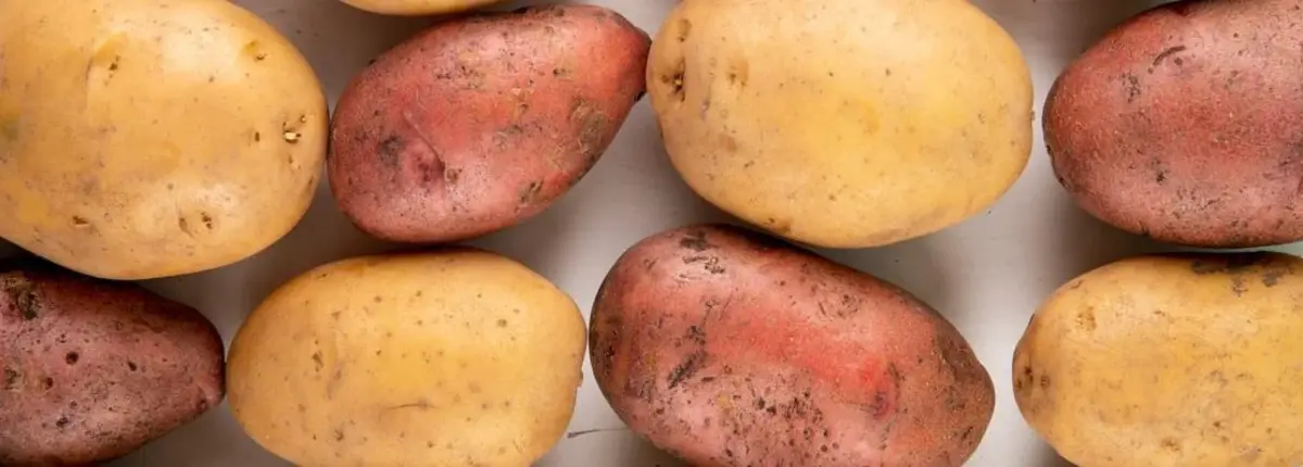 Основное изображение статьи