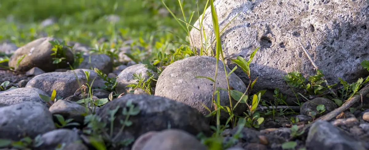 Основное изображение статьи